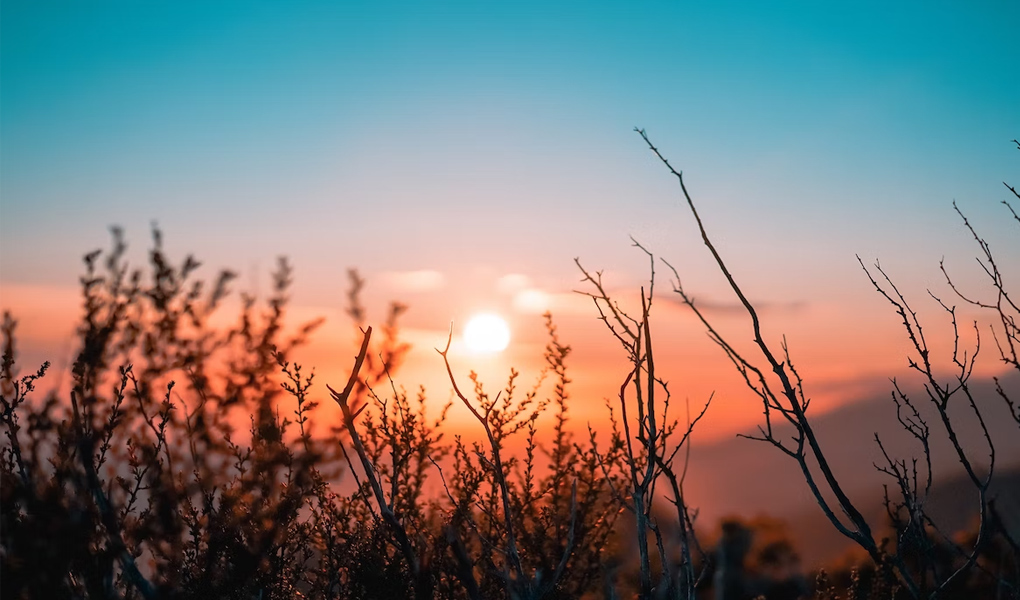 rBwBEmQj6qyAG_EqAAQUbJjme7M292